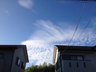 7月中旬　館山市内にて