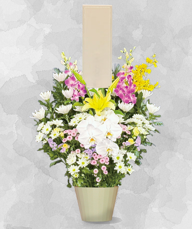生花B（1基）