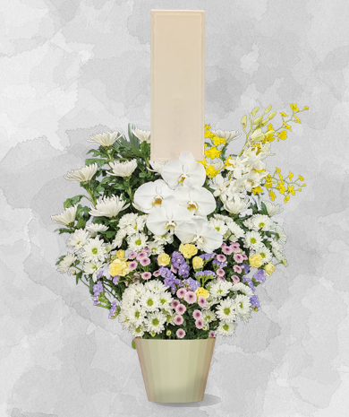 生花C（1基）