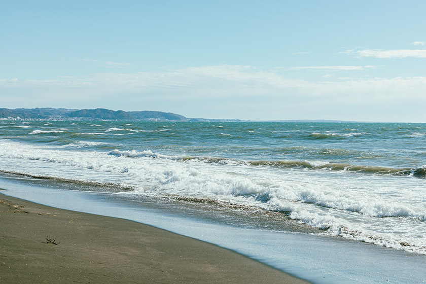 大好きだった海で見守って欲しいから